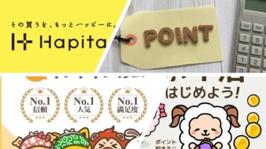 ポイントサイト収入実績2021年6月 V字回復で2万円突破！