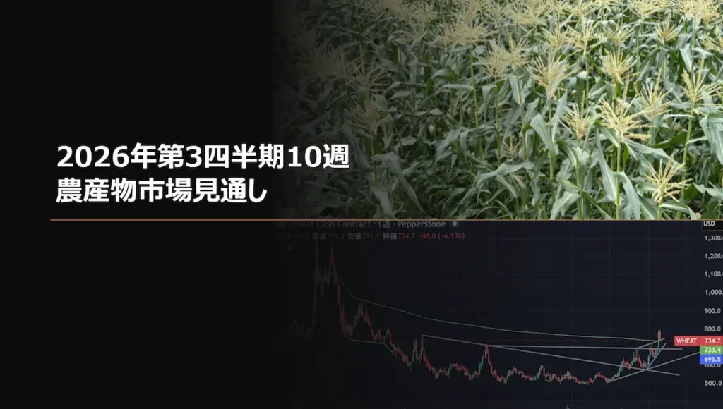 2026年第3四半期10週 農産物市場見通し